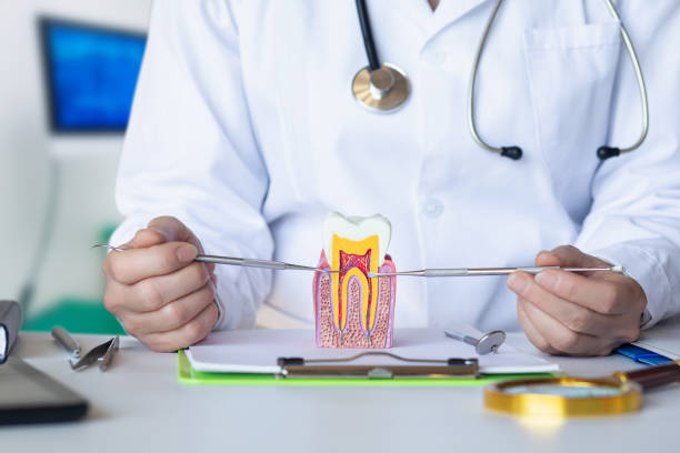 Best Emergency Dental Care for Broken or Chipped Teeth in Tarpey Village, CA